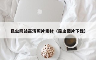 吴忠昆虫网站高清照片素材（昆虫图片下载）